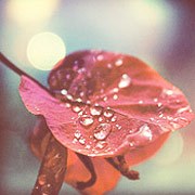 在线手机号轰炸网页版